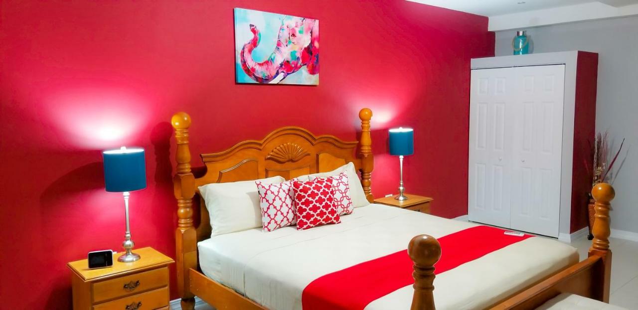 New Kingston Guest Apartments @ Donhead Exteriér fotografie