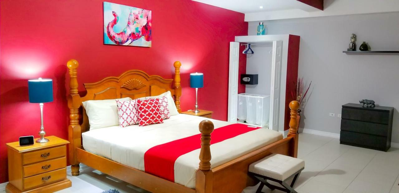 New Kingston Guest Apartments @ Donhead Exteriér fotografie