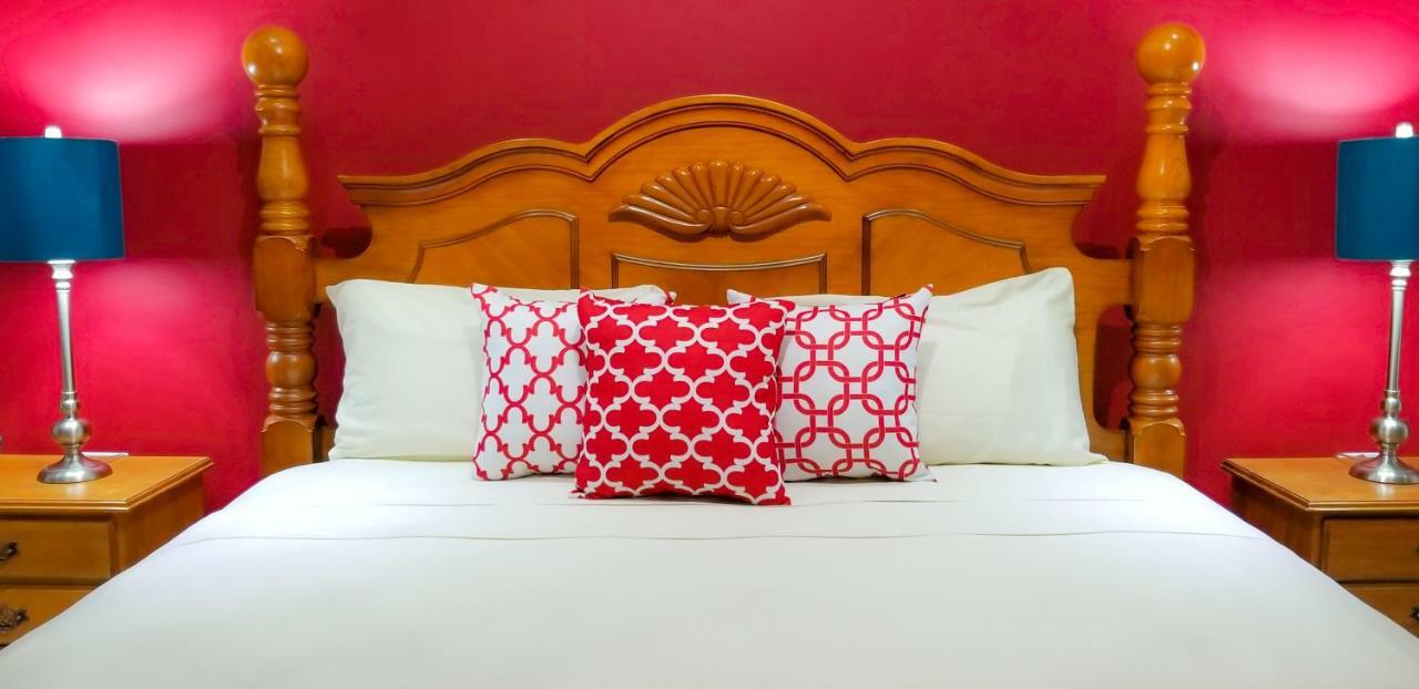 New Kingston Guest Apartments @ Donhead Exteriér fotografie